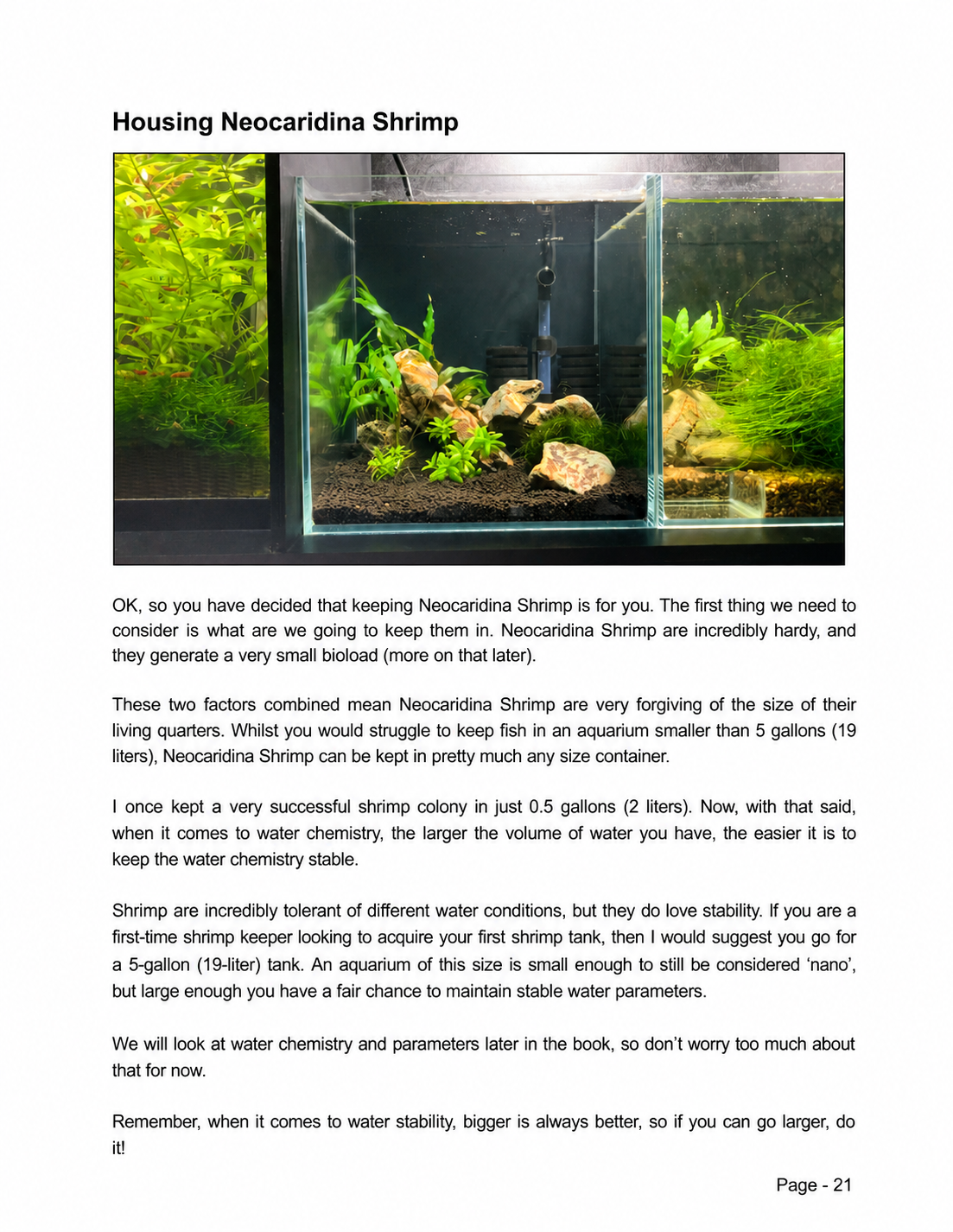 Inside The Neocaridina Shrimp Handbook - Housing Neocaridina Shrimp